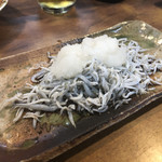 はたよ食堂 - しらすおろし