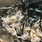 はたよ食堂 - しらす丼