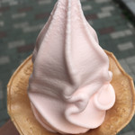 ミニストップ - 料理写真: