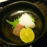 蓬左茶寮 - ＝釣アジ アオリイカ＝