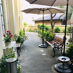 カフェ フロインドリーブ - 中庭
      めちゃくちゃ良い雰囲気でしょ？？