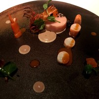 コンヴィヴィアリテ - 