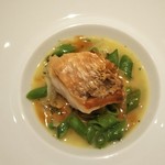 マスドラヴァンド - 