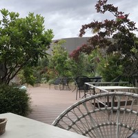 TOOTH TOOTH GARDEN RESTAURANT -  TOOTH TOOTH GARDEN RESTAURANT -