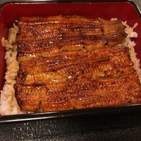 満寿家 - うな重並