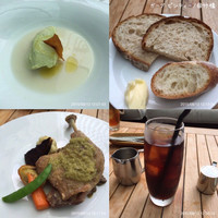 GARB pintino -  GARB pintino -