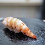 鮨 なんば - 車海老