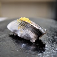 鮨 なんば 日比谷 - 小肌