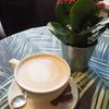 Dr Choc's Windsor Chocolate Factory&Cafe - ドリンク写真: