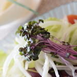 ビストロ セレニテ - 