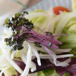 ビストロ セレニテ - 