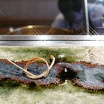 てんぷら　成生 - 