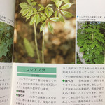 ナガタ店 - オイラの蔵書、山菜ガイドブックから