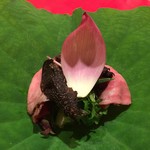 にくの匠 三芳 - 