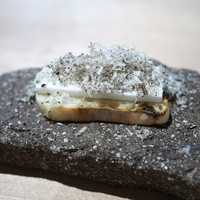 bb9 - 自家製の水牛生クリーム燻製バターにトリュフ