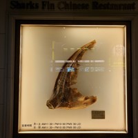 筑紫樓 銀座店 - 