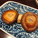 鳥田中 - シイタケ