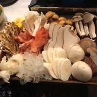 CINA New Modern Chinese - 