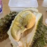 Ah Hung D24 Sultan Durian - ドリアン（猫山王）