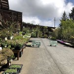 アールケイ ガーデン - 