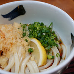 手打ちさぬきうどん 心 - 冷ぶっかけ小