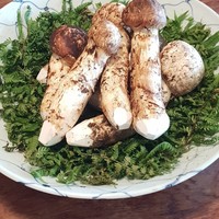 松川 - 