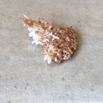 恵比寿 えんどう - おこげ