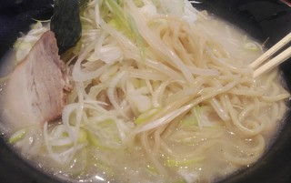 Echizen Ramen Shio Tetsu - 塩てつラーメン＋白ねぎ