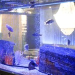 SENSE 名古屋駅店 - 