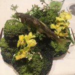 ランベリー - 長野県天竜川の稚鮎