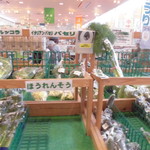 農産物直売所 ぽんぽこ - 店内