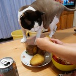 農産物直売所 ぽんぽこ - 食べてみた