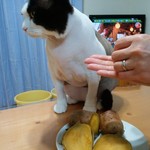 農産物直売所 ぽんぽこ - 食べてみた