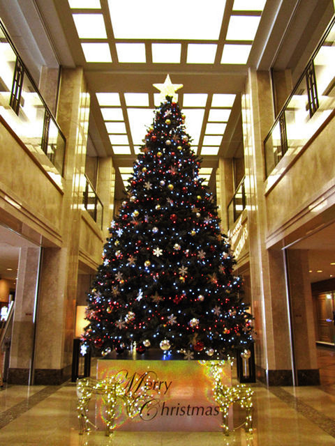 Restaurant SERENA photo 4