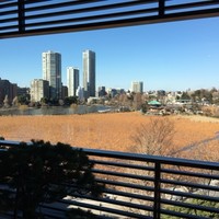 鰻割烹 伊豆栄 本店 - 不忍池が一望