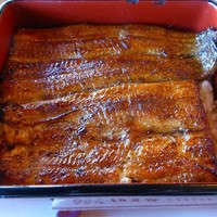 鰻割烹 伊豆栄 本店 - うな重竹