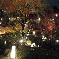 東京 芝 とうふ屋うかい - 