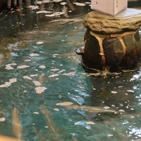 河太郎 中洲本店 - 