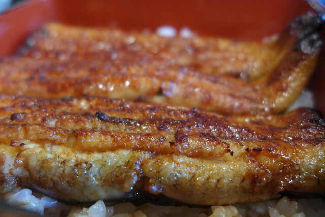 大落古利根川を望む老舗で 旨い鰻に舌鼓 By 高くて旨いは当たり前 高橋屋 杉戸本店 東武動物公園 うなぎ 食べログ