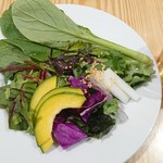 シナグロ オーガニックサラダ＆カフェ - サラダ､デトックスティー(ミント､ゴボウ､タンポポ､バジル､クローバー等)