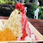 Island Vintage Shave Ice - Heavenly Lilicoi