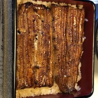 鰻割烹 伊豆栄 本店 - 