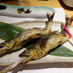 柳家錦 - 大内山川の釣り鮎