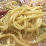 麺処 花田 - 麺アップ