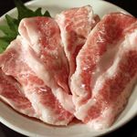 サランヘ - Pトロ