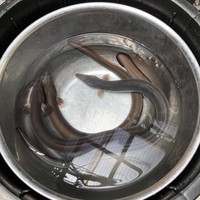 入谷鬼子母神門前のだや - 