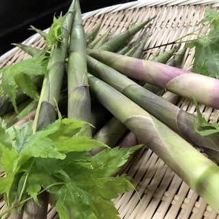 つるおか旬暦 彩鶴_0