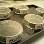 シズオカマウントフジグリーンティプラザ - 