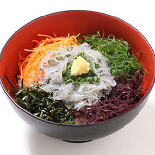 Raw whitebait, red sea bream... Enjoy the luxurious taste of fresh seafood from Sagami Bay!