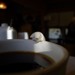 洋食 川里庵 - ホットコーヒー